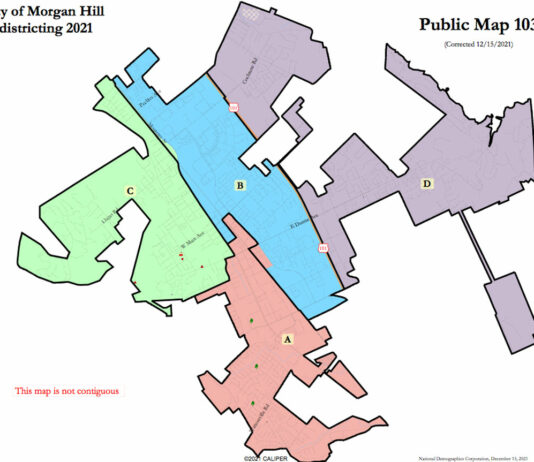 City Council inches toward new districts