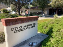 City council prohibits firearms in ‘sensitive’ locations