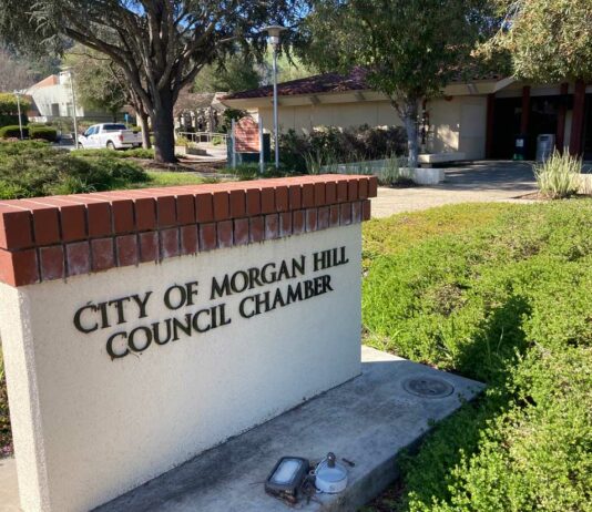 City council opts against passing a Gaza war resolution