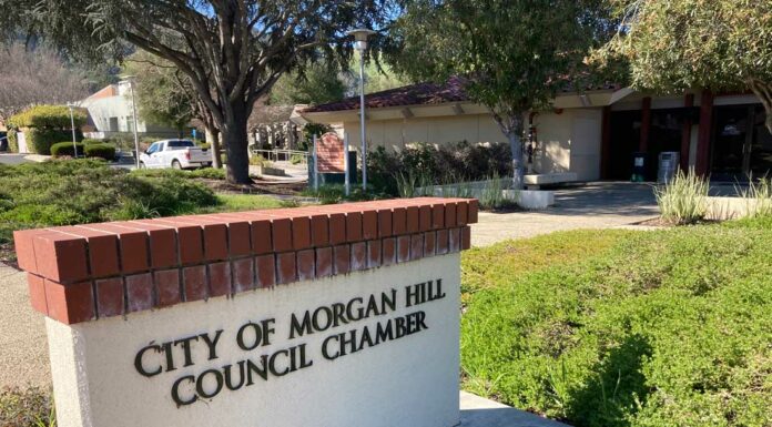 City council opts against passing a Gaza war resolution