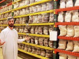 Ag meets tech at Sempera Organics