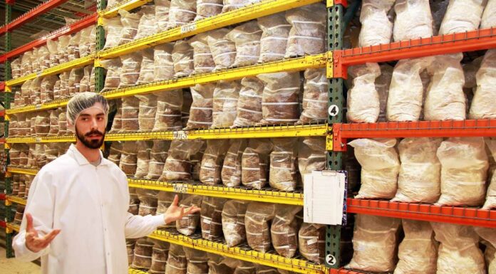 Ag meets tech at Sempera Organics