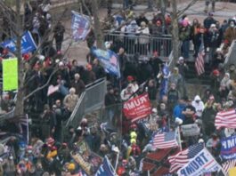 South County woman sentenced to jail for role in U.S. Capitol breach