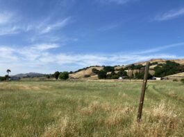 East MH property owner mulls residential development