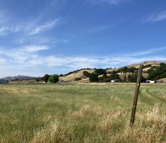 East MH property owner mulls residential development