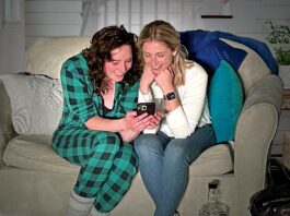 Limelight’s ‘accidentally timely’ show opens May 6 tigers be still south valley civic theatre limelight