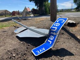 San Martin man dies in May 15 traffic crash