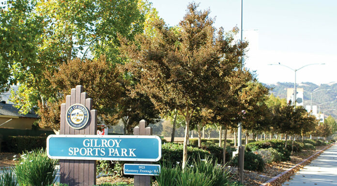 Sharks, Gilroy agree on ice facility terms