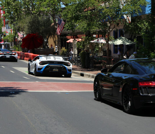 City council leaves downtown Monterey Road alone