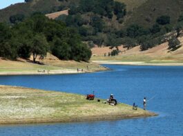 County parks anticipate a ‘crowded summer’