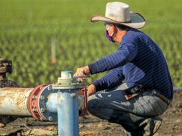 Study: Employers fail to keep farmworkers safe from Covid