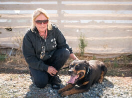 GEPDA rescues dogs, giving them a place of refuge in the process