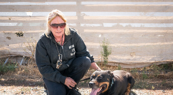 GEPDA rescues dogs, giving them a place of refuge in the process