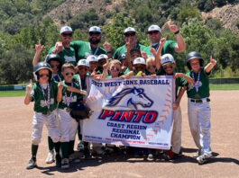 Morgan Hill PONY Pinto All Stars have a season to remember