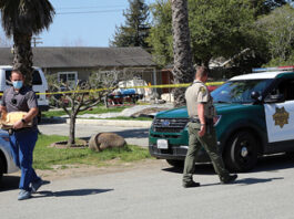 Watsonville homicide suspect arrested at Gilroy motel