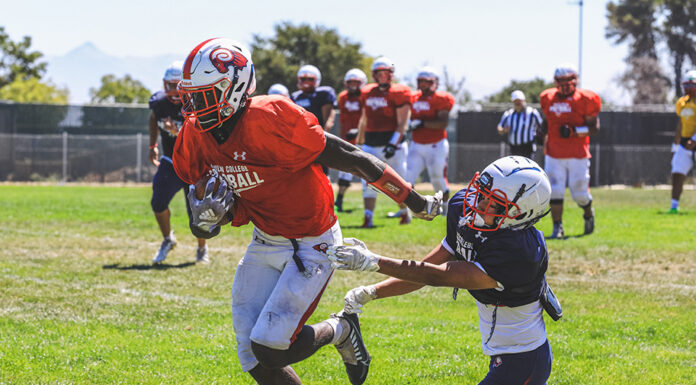 Former Live Oak, Sobrato standouts look to lead Gavilan’s turnaround