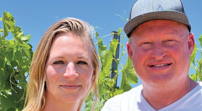 Lion Ranch’s secret sauce lion ranch winery kim todd englehardt