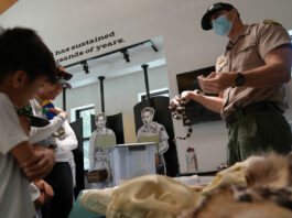 Santa Clara County Parks’ Junior Ranger program adds online events