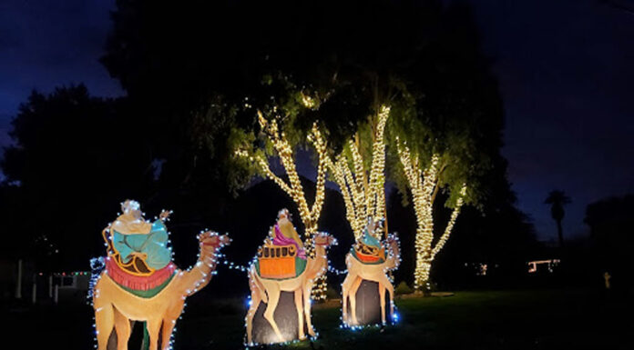 Local Scene: ‘Christmas on the Hill’ returns to West Hills Church