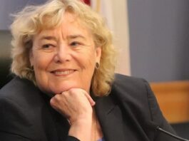 South Valley Democrats lead in U.S. Congress balloting