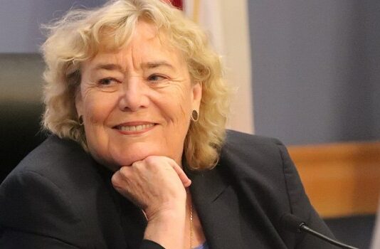 South Valley Democrats lead in U.S. Congress balloting