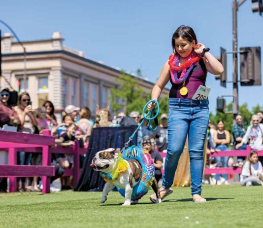 Year in review: A look back at 2022 in Morgan Hill