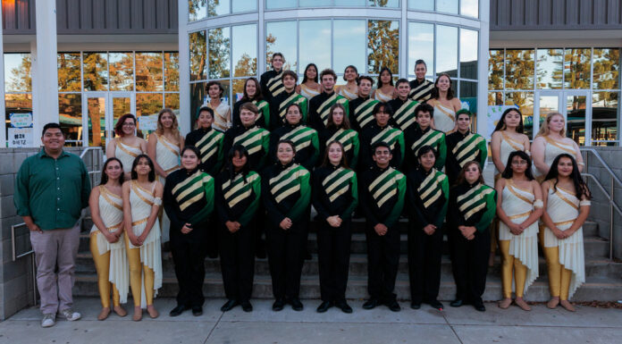 Emerald Regime makes a comeback with new director