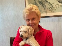 County has ‘urgent need’ for fostering, adopting dogs