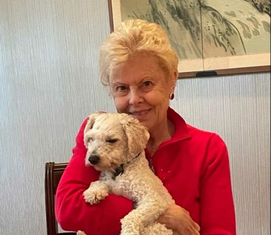 County has ‘urgent need’ for fostering, adopting dogs