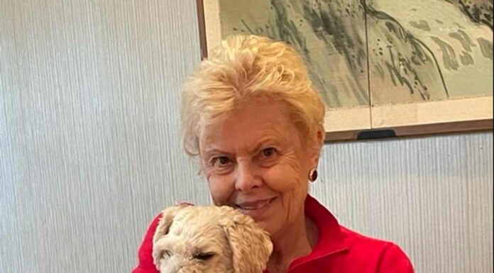 County has ‘urgent need’ for fostering, adopting dogs