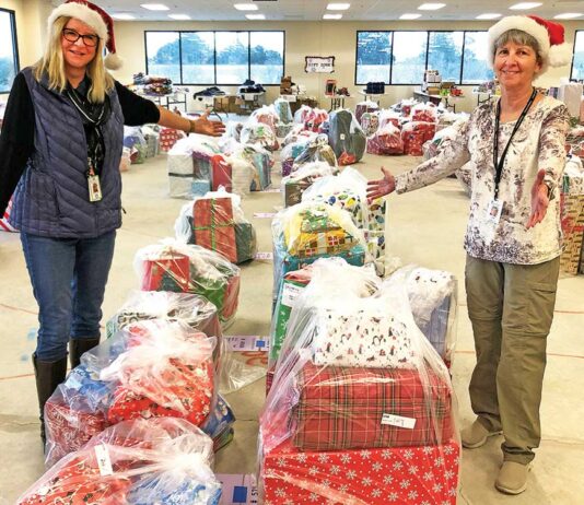 Community Solutions’ programs help ease burden of the season community solutions Jackie Starkovich Linda Bjarke adopt a family