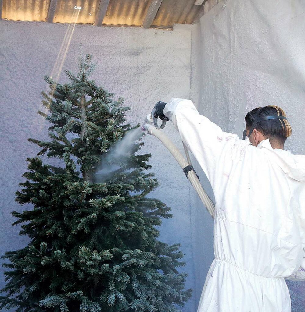 battaglia ranch christmas tree jonathan dunlap