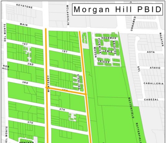 Downtown property owners vote for parcel tax for improvements