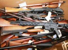 Rosen proposes ballot initiative to address gun violence in California