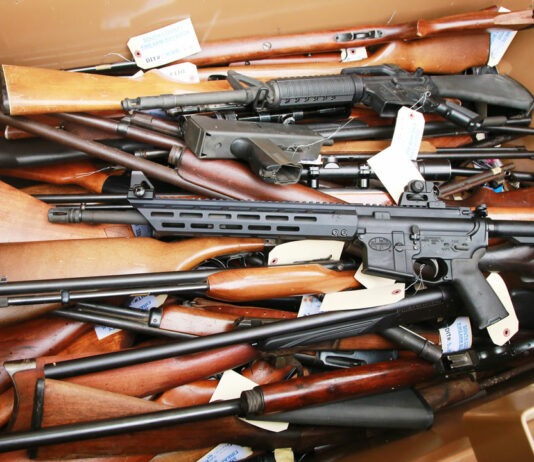 Rosen proposes ballot initiative to address gun violence in California