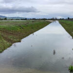 Image for display with article titled Morgan Hill Applies for State ‘Drought Relief’ Grants