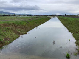 City applies for state ‘drought relief’ grants