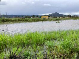 Weekend forecast calls for clear skies, sunshine