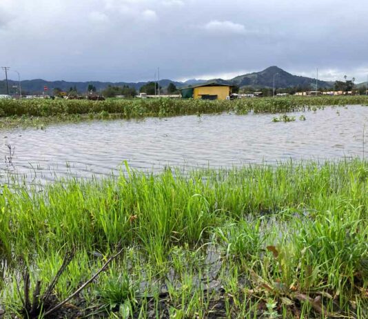 Weekend forecast calls for clear skies, sunshine