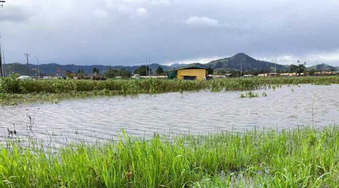 Weekend forecast calls for clear skies, sunshine