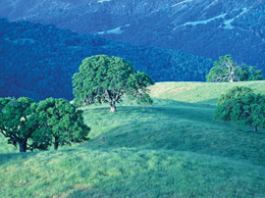 Residents can cash in on free state park admission