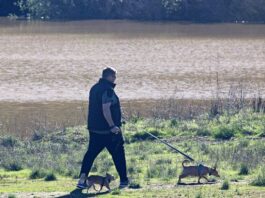 Morgan Hill drenched