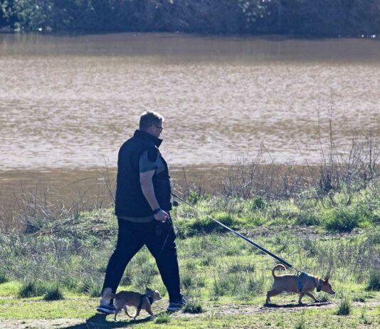 Morgan Hill drenched