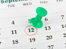 Local Scene: Tarantula Fest, donate blood, Bell’s Station open soon