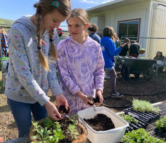 ‘Distinguished’ community