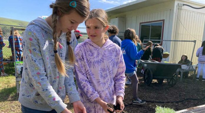 ‘Distinguished’ community