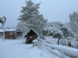 Photos: Winter persists in Morgan Hill