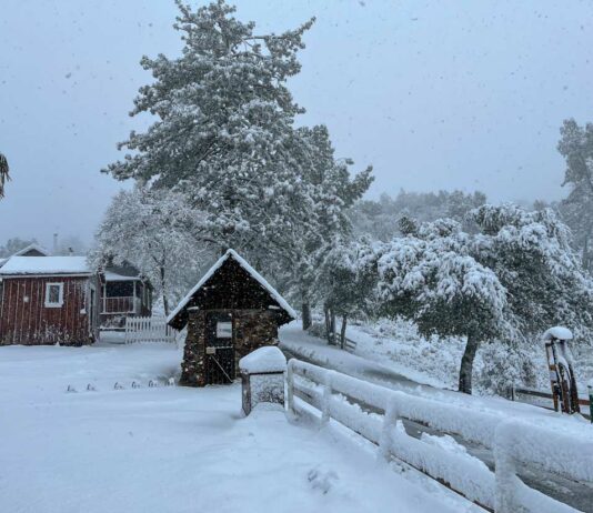 Photos: Winter persists in Morgan Hill
