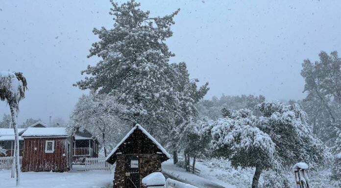 Photos: Winter persists in Morgan Hill