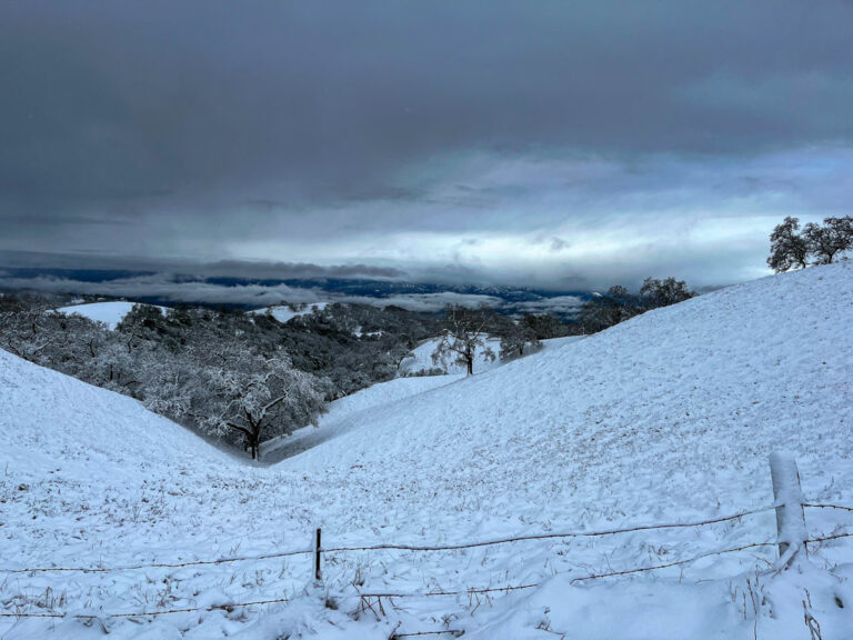 Snow survey shows modest increase, warmer year